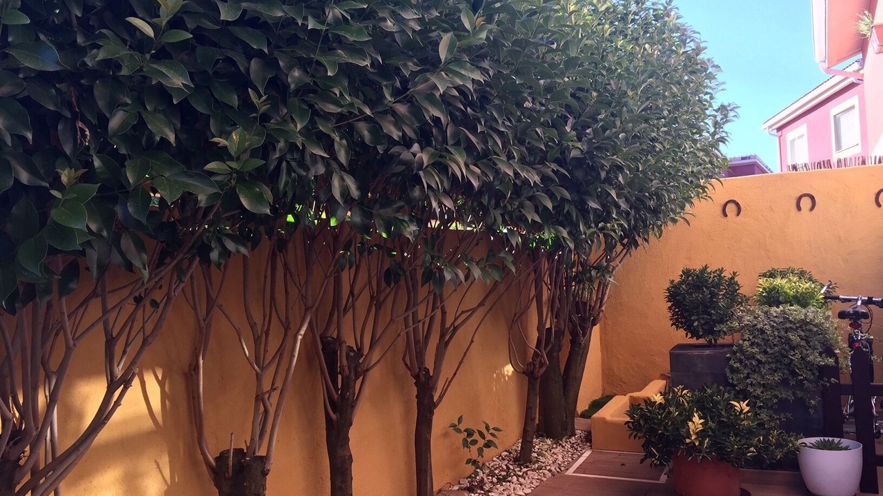 Photo of Outdoor in El Casar