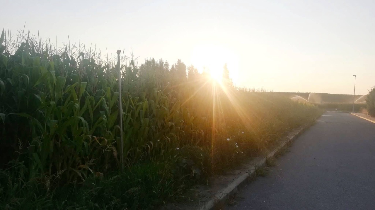 Photo of Outdoor in Villamayor