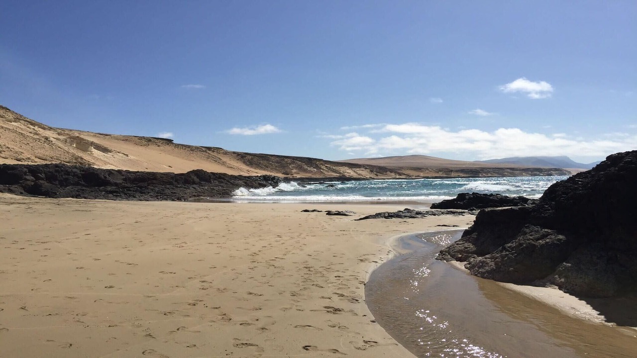 Photo of Others in Bahia Calma