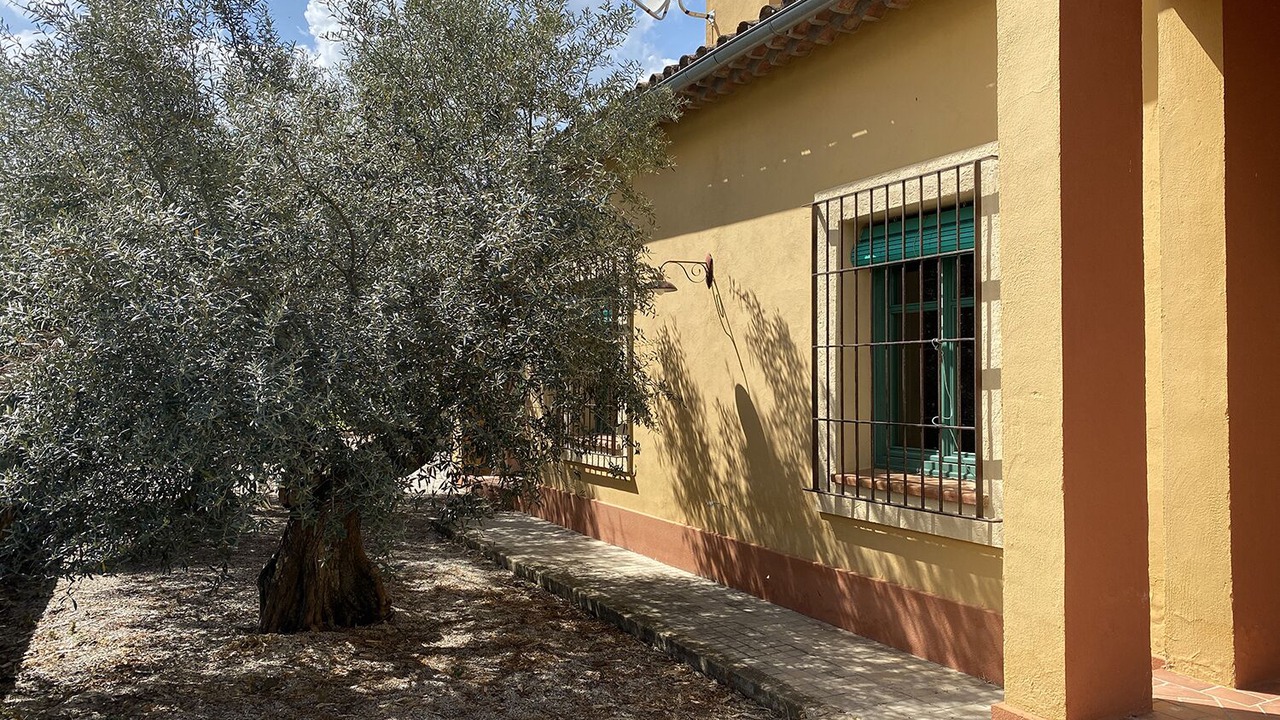 Photo of Outdoor in Pago de San Clemente