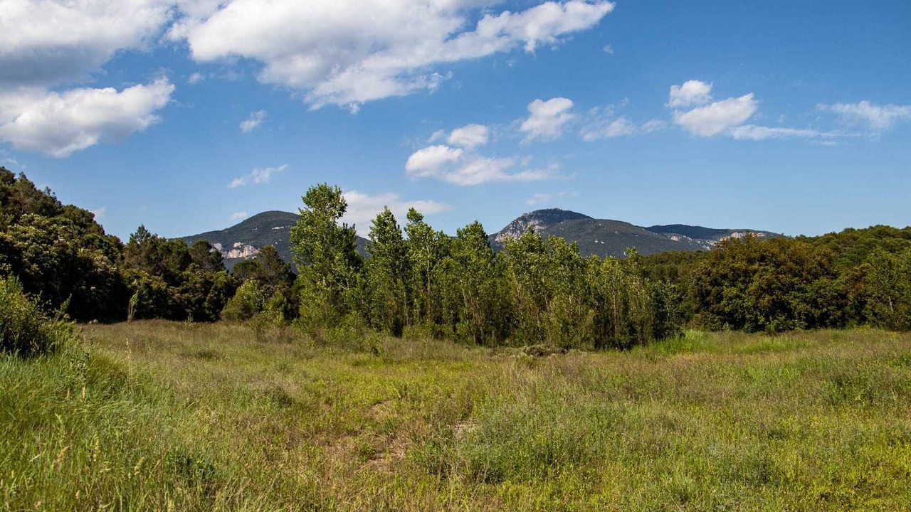 Photo of Outdoor in Argelaguer