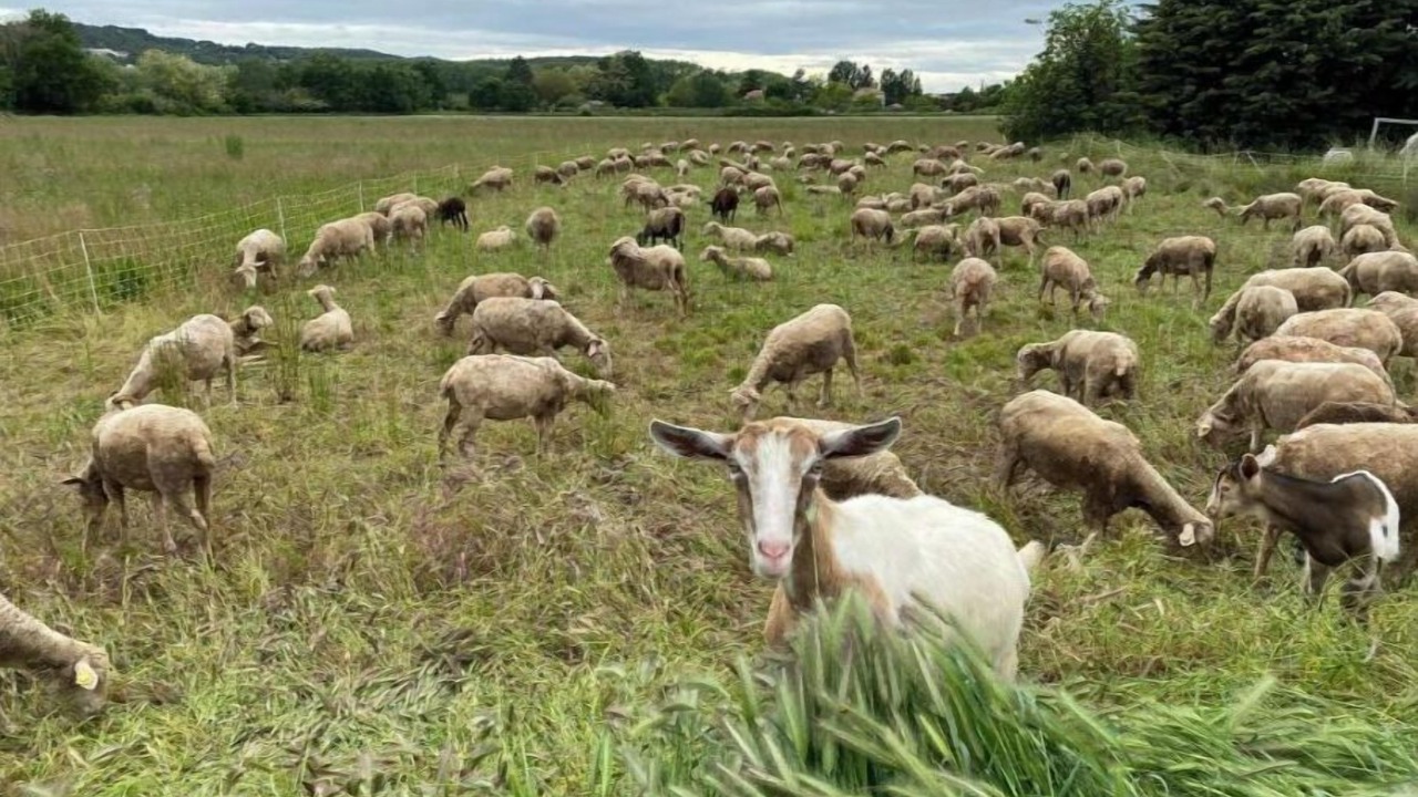 Photo of Others in La Roque-d'Antheron