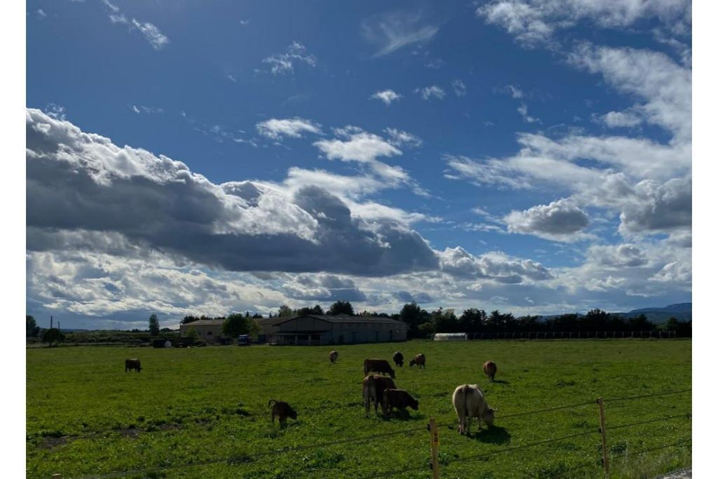 Photo of Outdoor in La Roque-d'Antheron