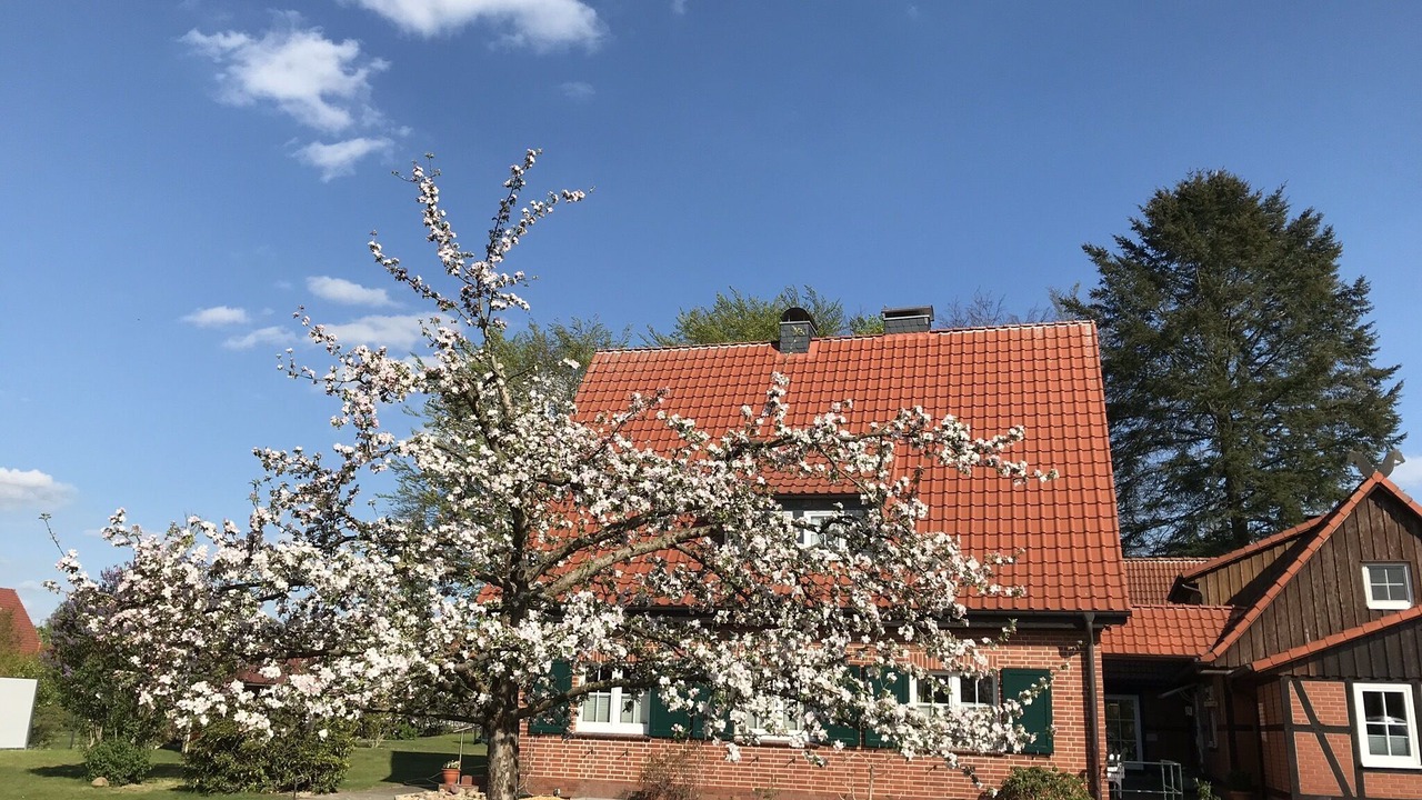 Photo of Outdoor in Eschede