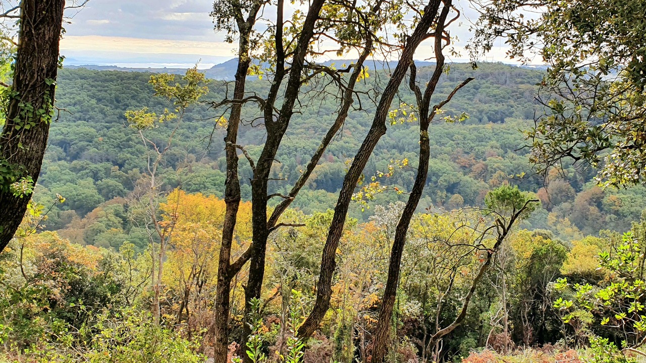 Photo of Outdoor in Saint-Paulet-de-Caisson