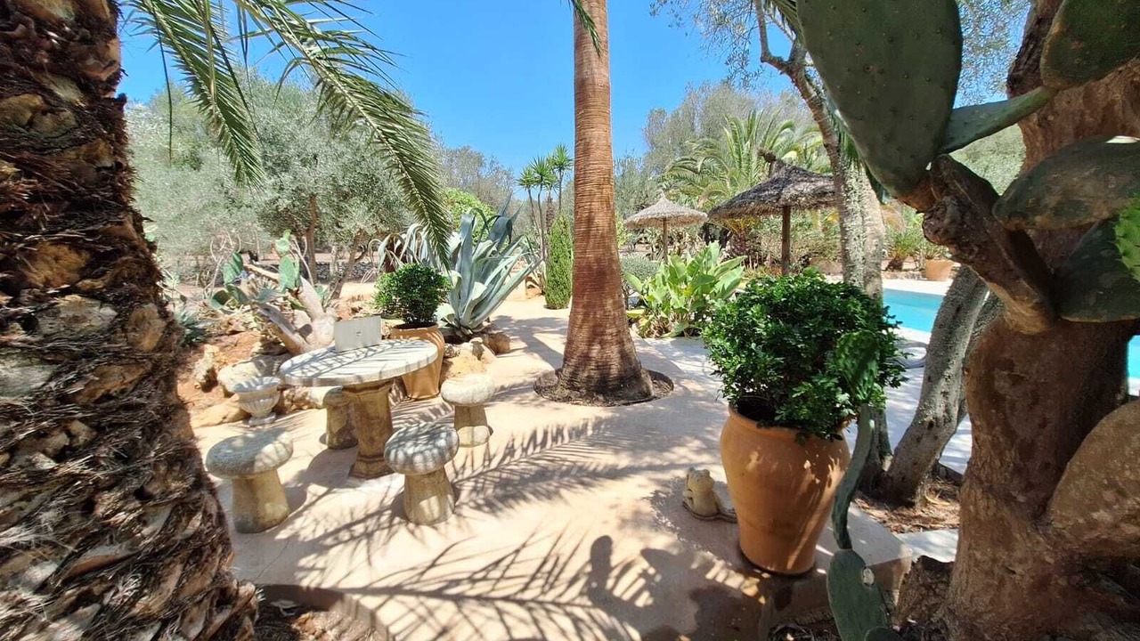 Photo of Outdoor in Costitx