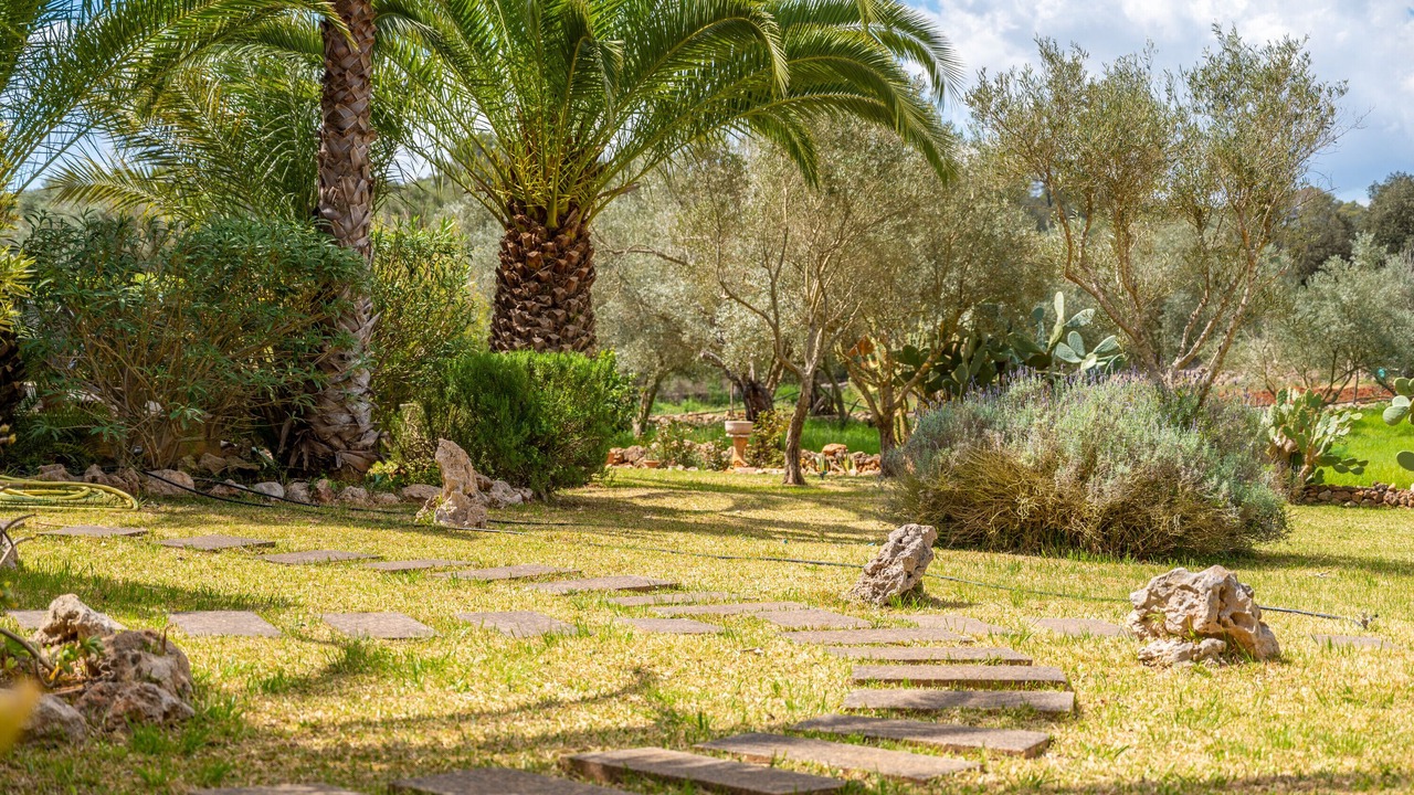 Photo of Outdoor in Costitx