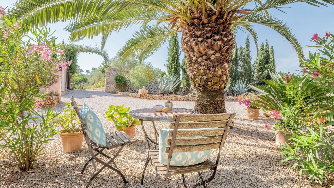 Photo of Outdoor in Costitx