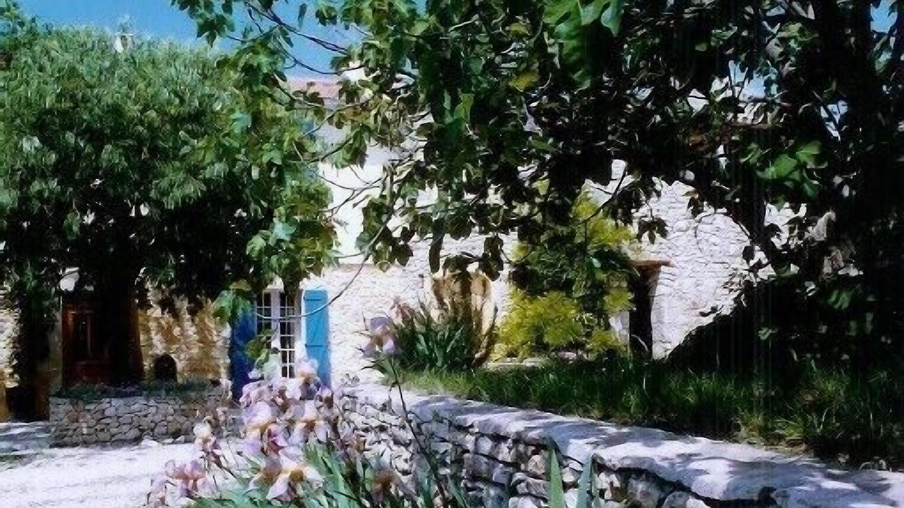 Photo of Outdoor in Russan