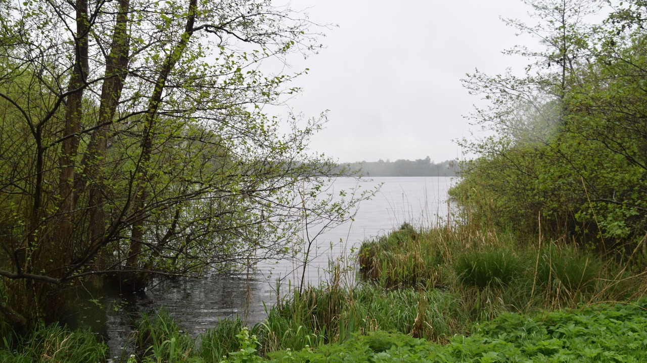 Photo of Others in Eutin