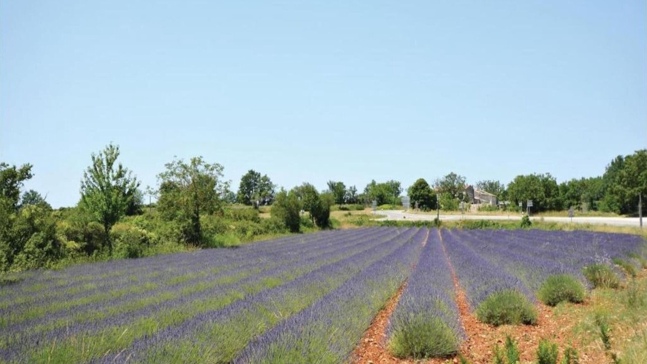 Photo of Others in Barjac