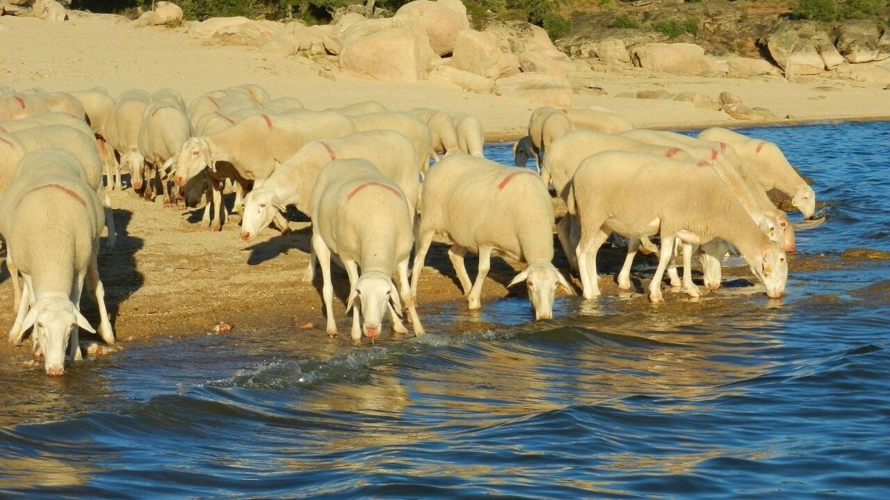 Photo of Others in Salce