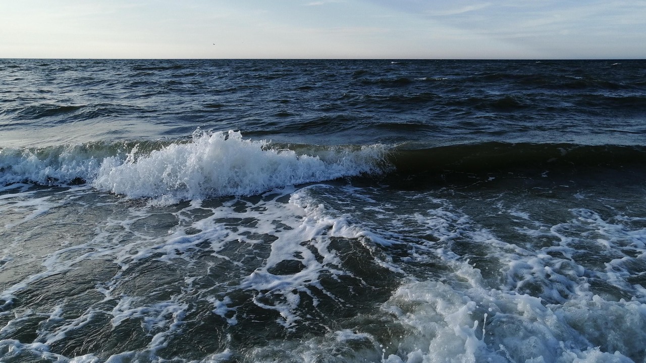 Photo of Others in Norddeich