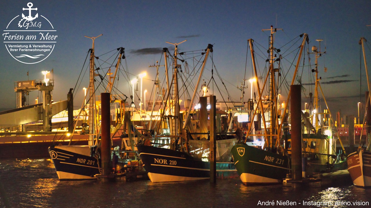 Photo of Others in Norddeich