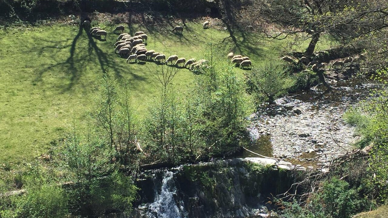 Photo of Outdoor in Saint-Andre-de-Valborgne