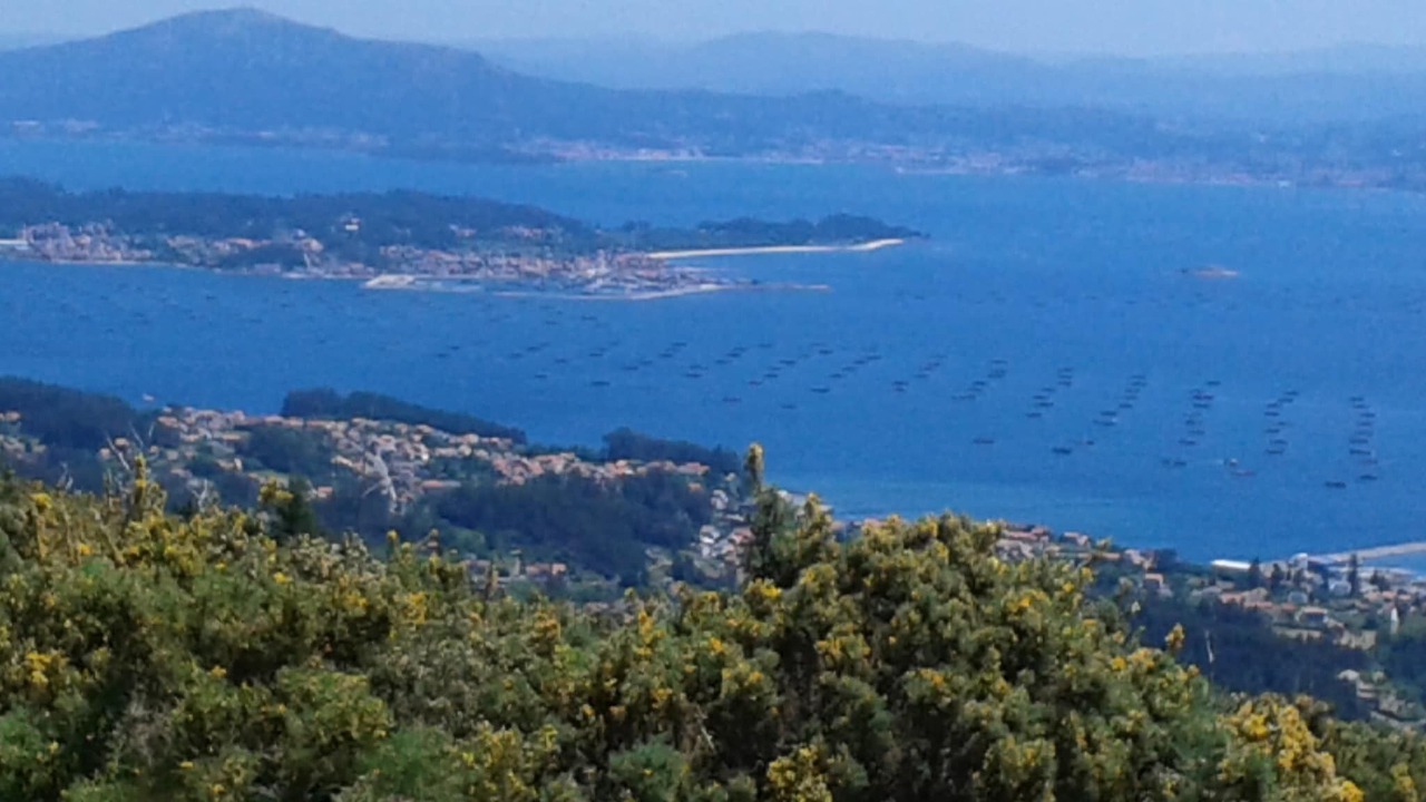 Photo of Others in Portonovo