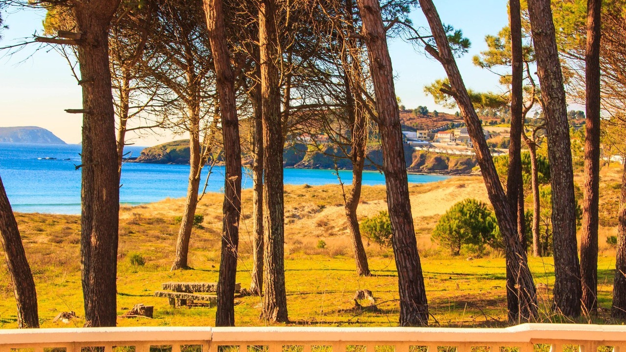 Photo of Outdoor in Portonovo