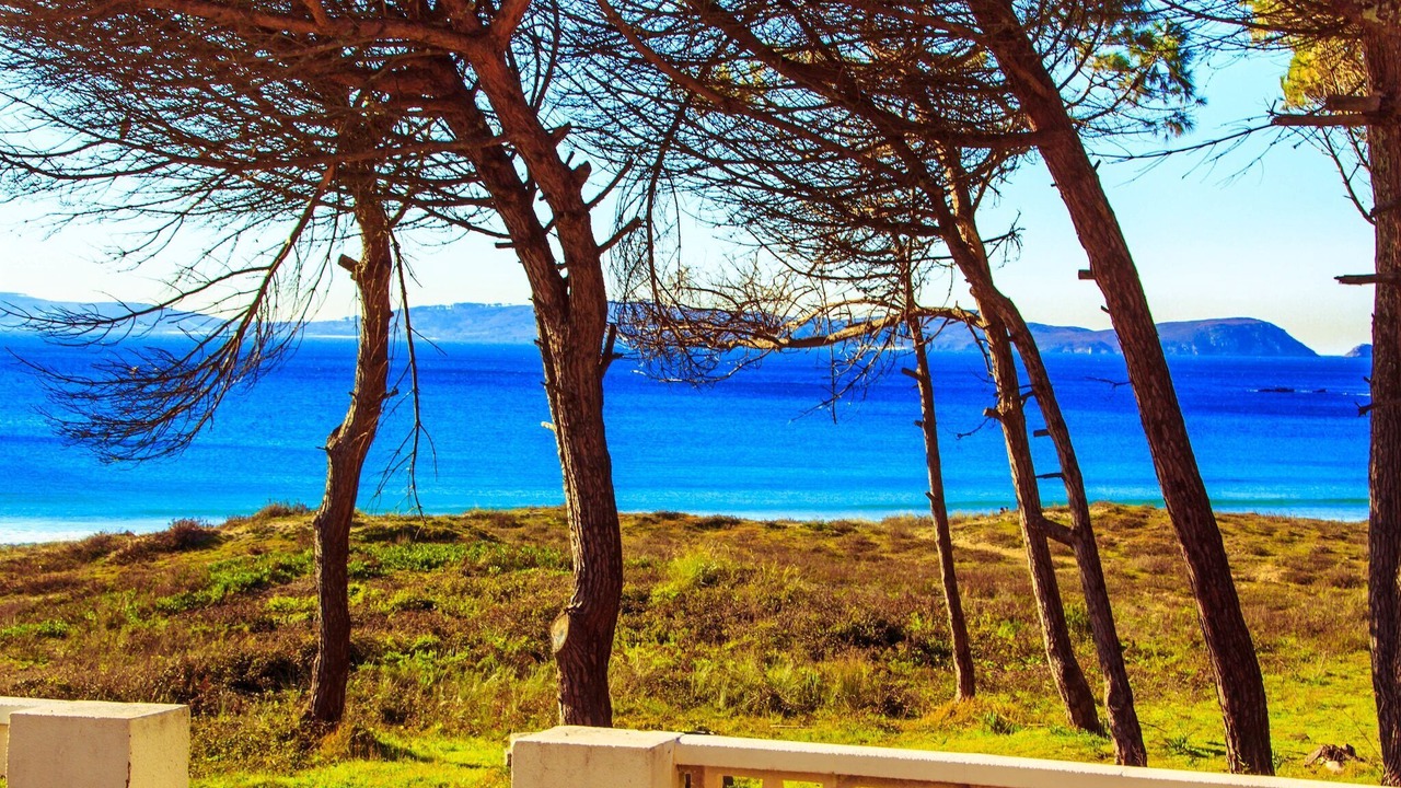 Photo of Others in Portonovo