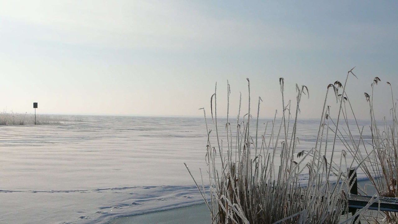 Photo of Others in Usedom