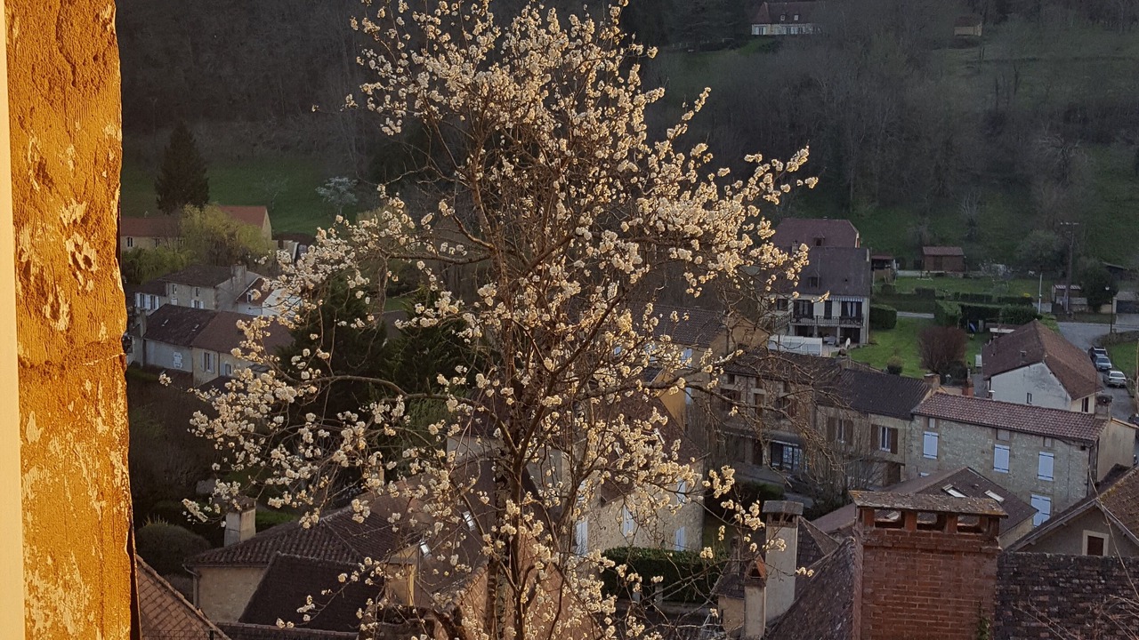 Photo of Others in Cenac-et-Saint-Julien