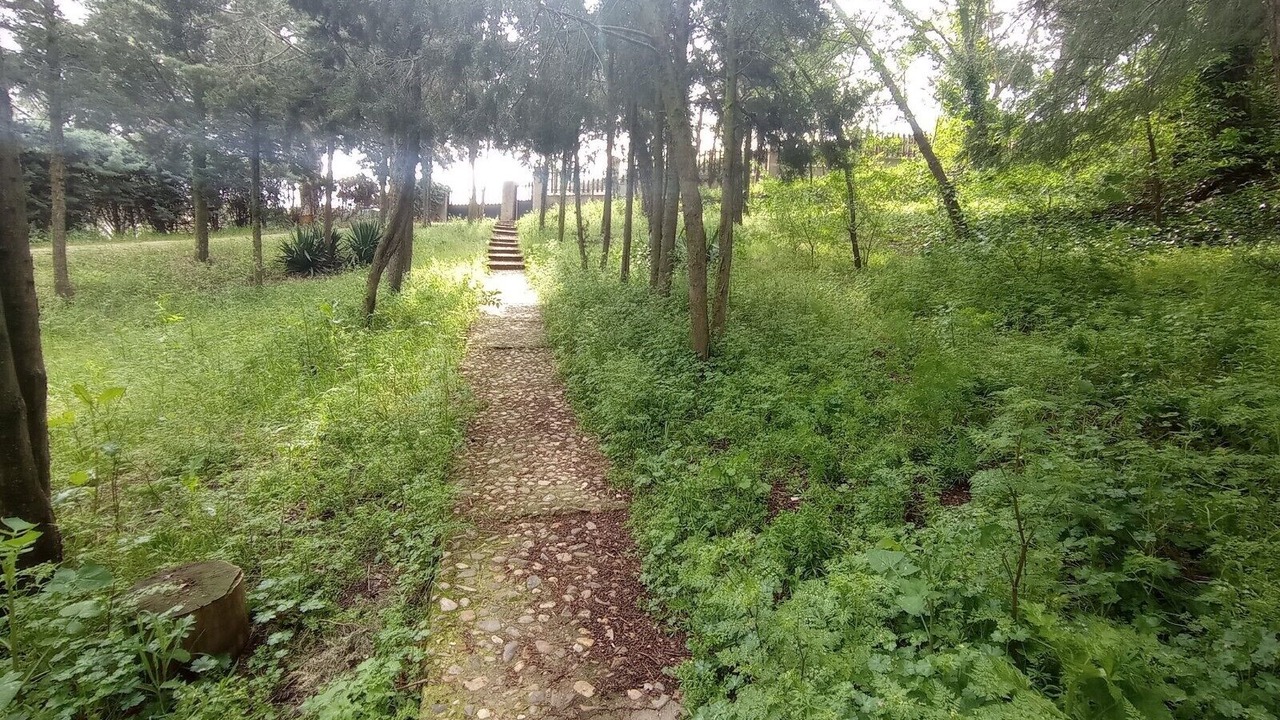Photo of Outdoor in Paracuellos de Jarama