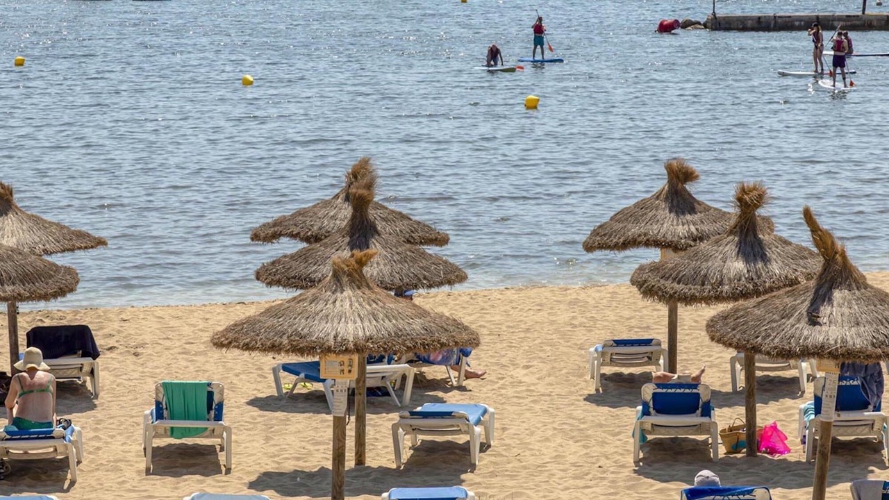 Photo of Others in Puerto de Pollensa