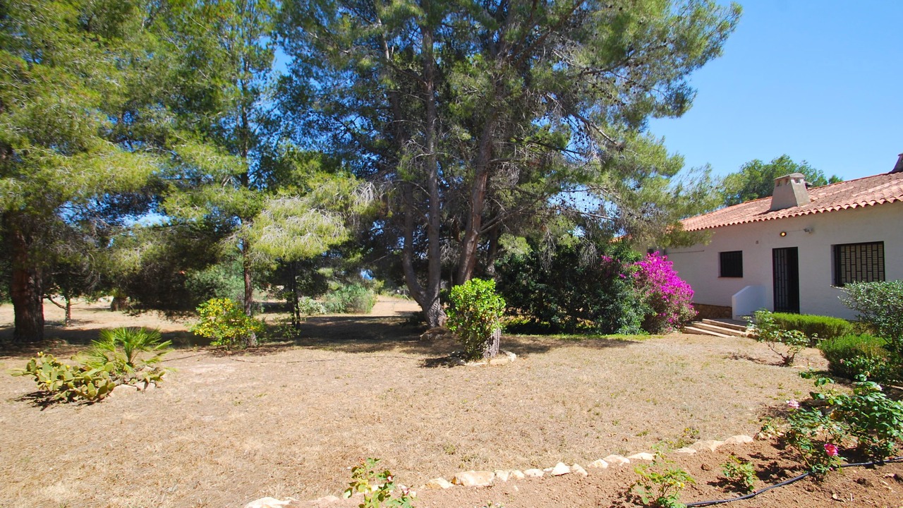 Photo of Others in L'Alfas del Pi