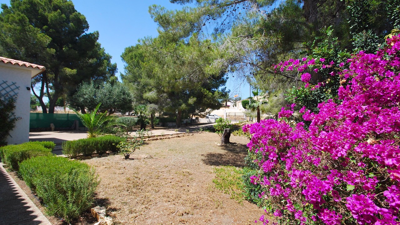 Photo of Others in L'Alfas del Pi