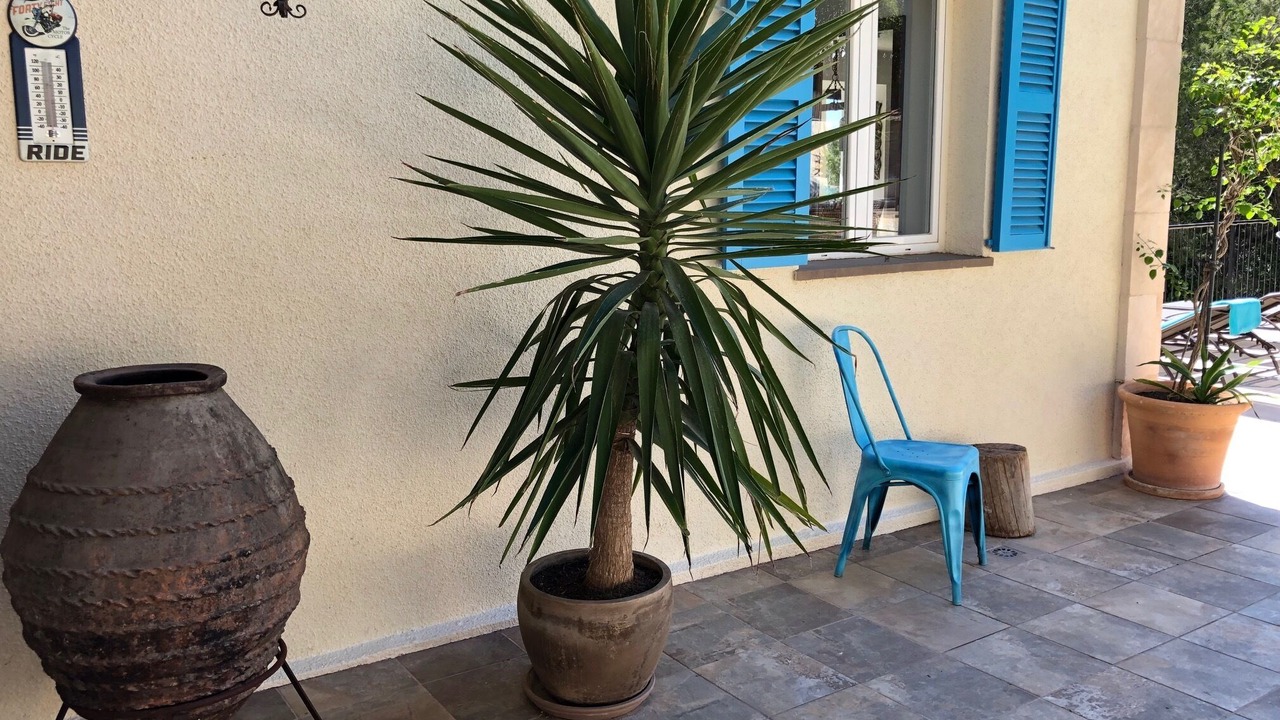 Photo of Patio Balcony in Costa d'en Blanes
