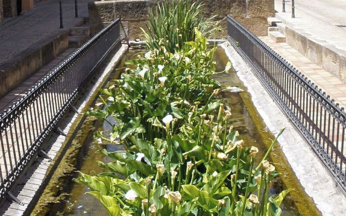 Photo of Outdoor in Fuenmayor
