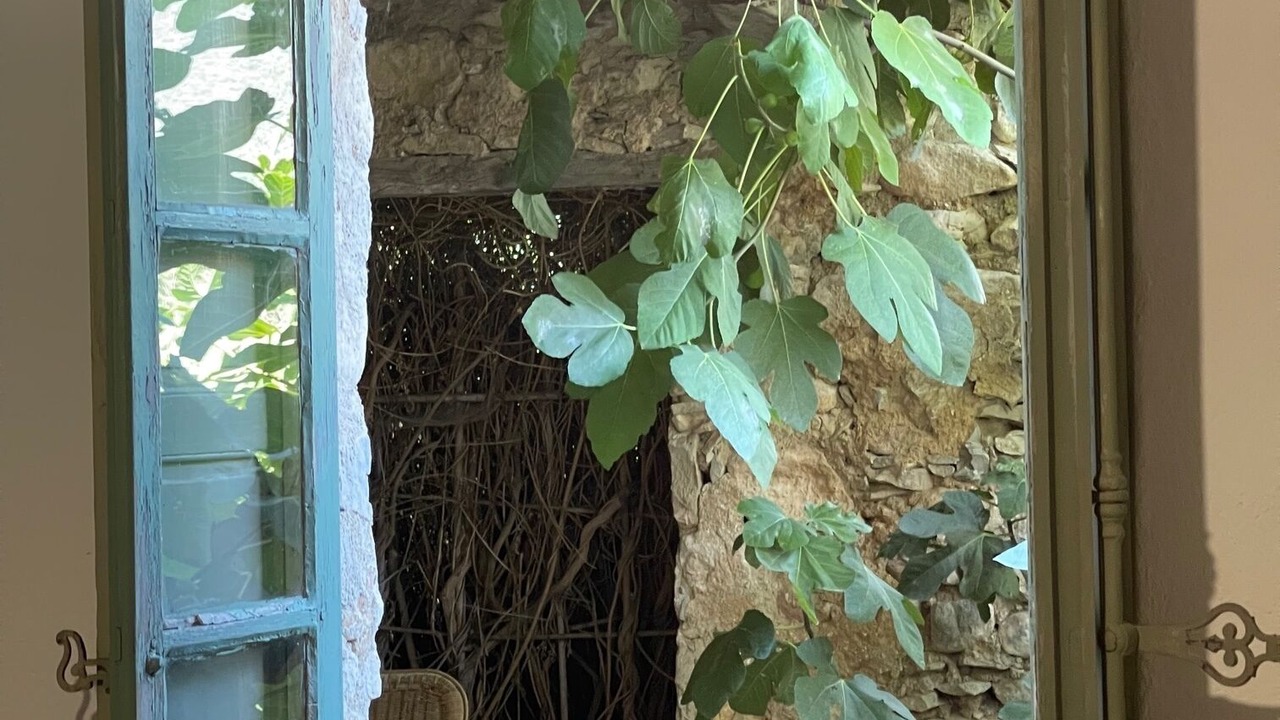 Photo of Others in Rustrel