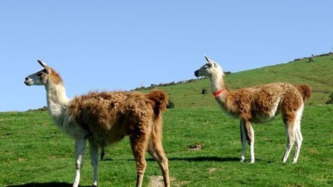 Photo of Outdoor in La Mongie