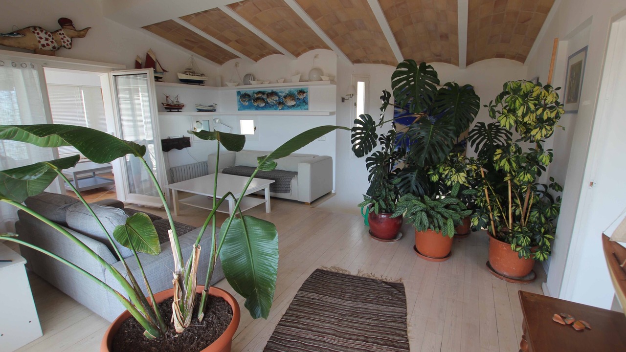 Photo of Livingroom in Cadaques