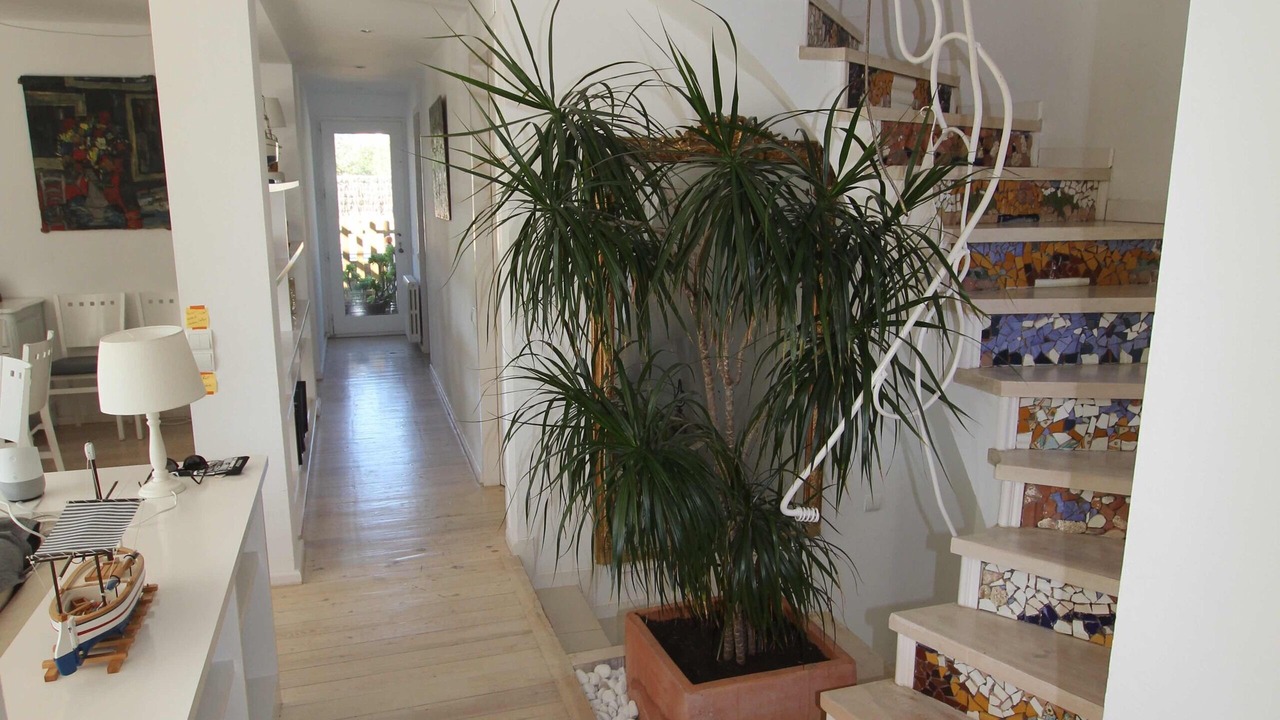 Photo of Others in Cadaques