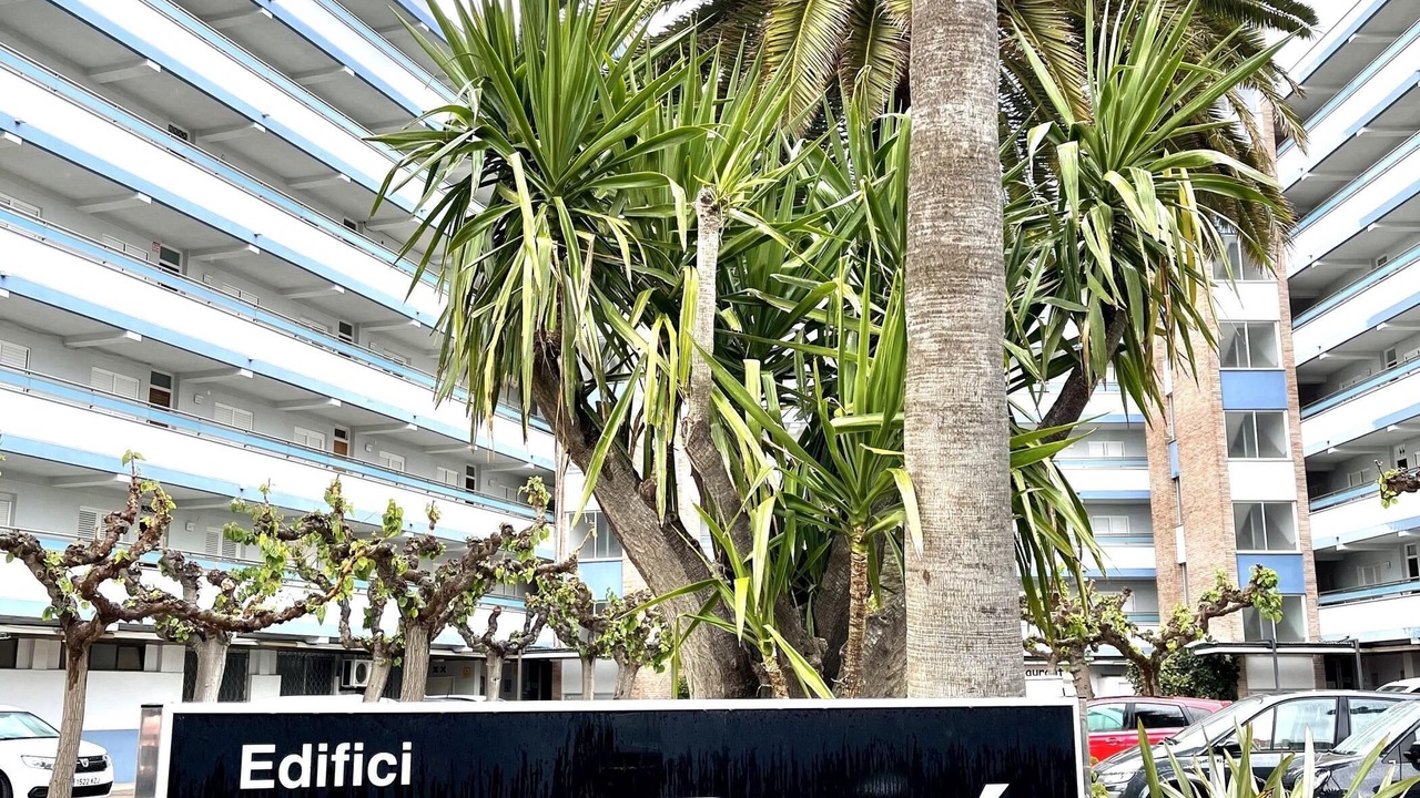 Photo of Outdoor in La Pineda