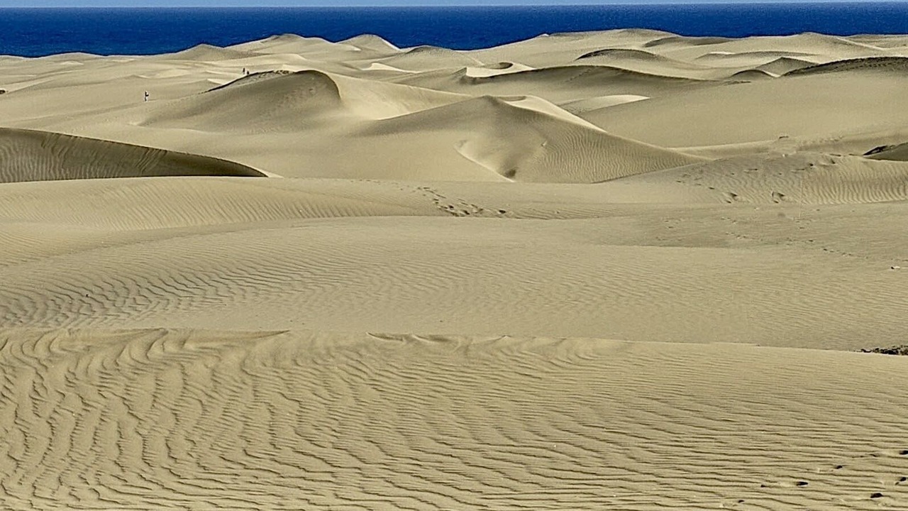 Photo of Others in Maspalomas