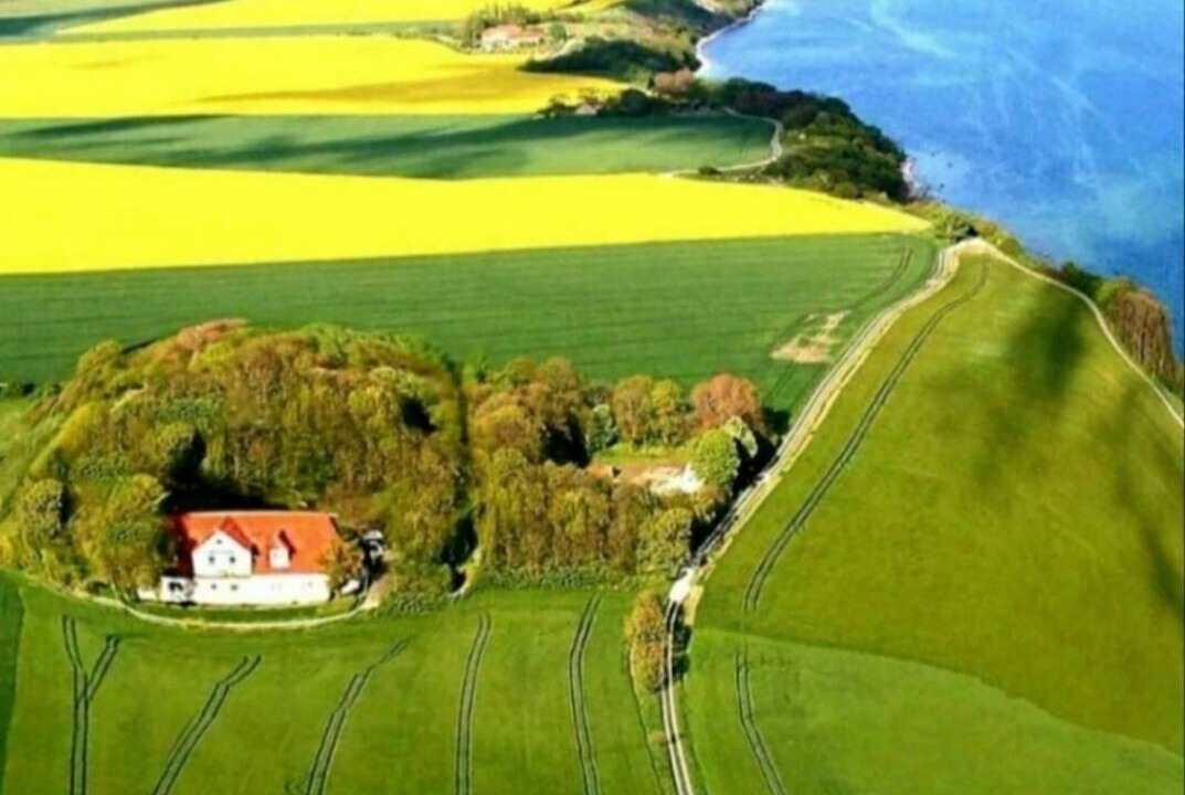 Photo of Others in Neddesitz