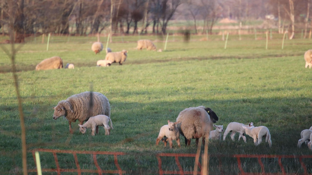 Photo of Outdoor in Lauenteil