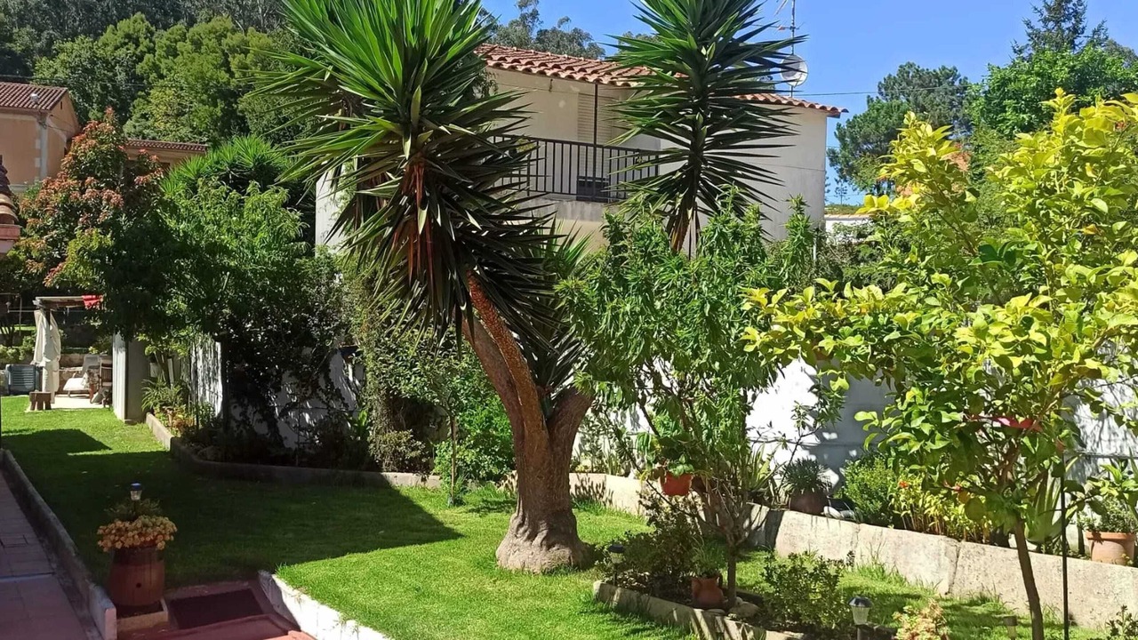 Photo of Outdoor in Eiras