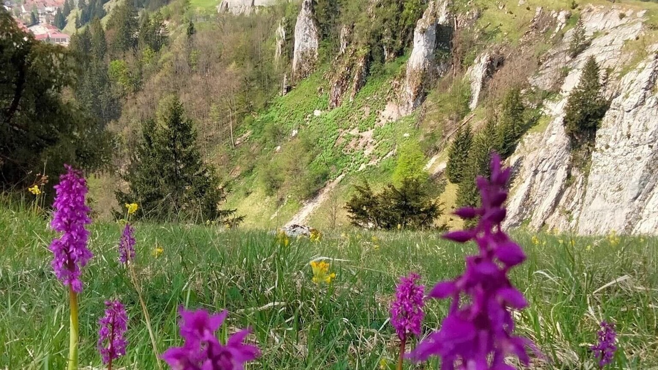 Photo of Outdoor in Montperreux