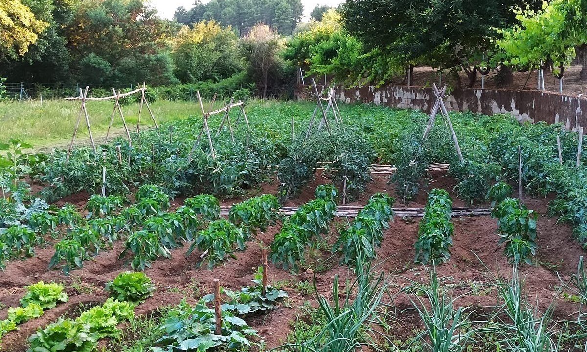 Photo of Outdoor in Villasbuenas de Gata