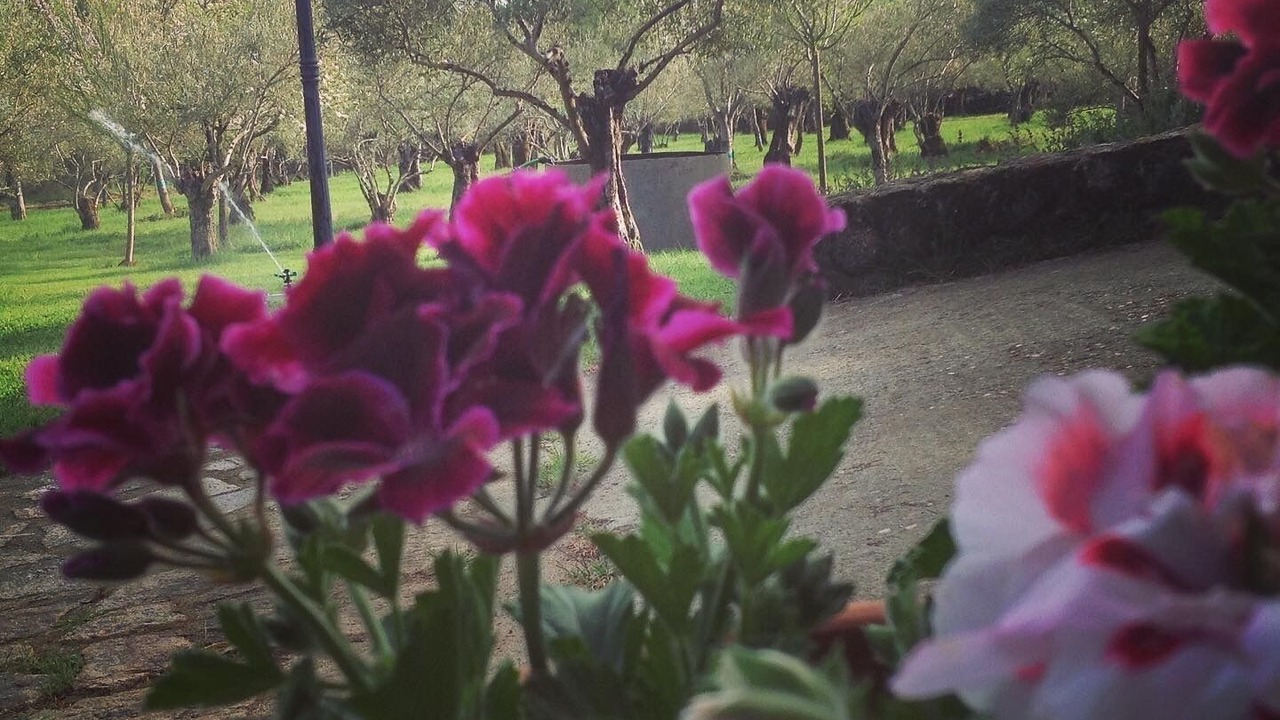 Photo of Outdoor in Villasbuenas de Gata