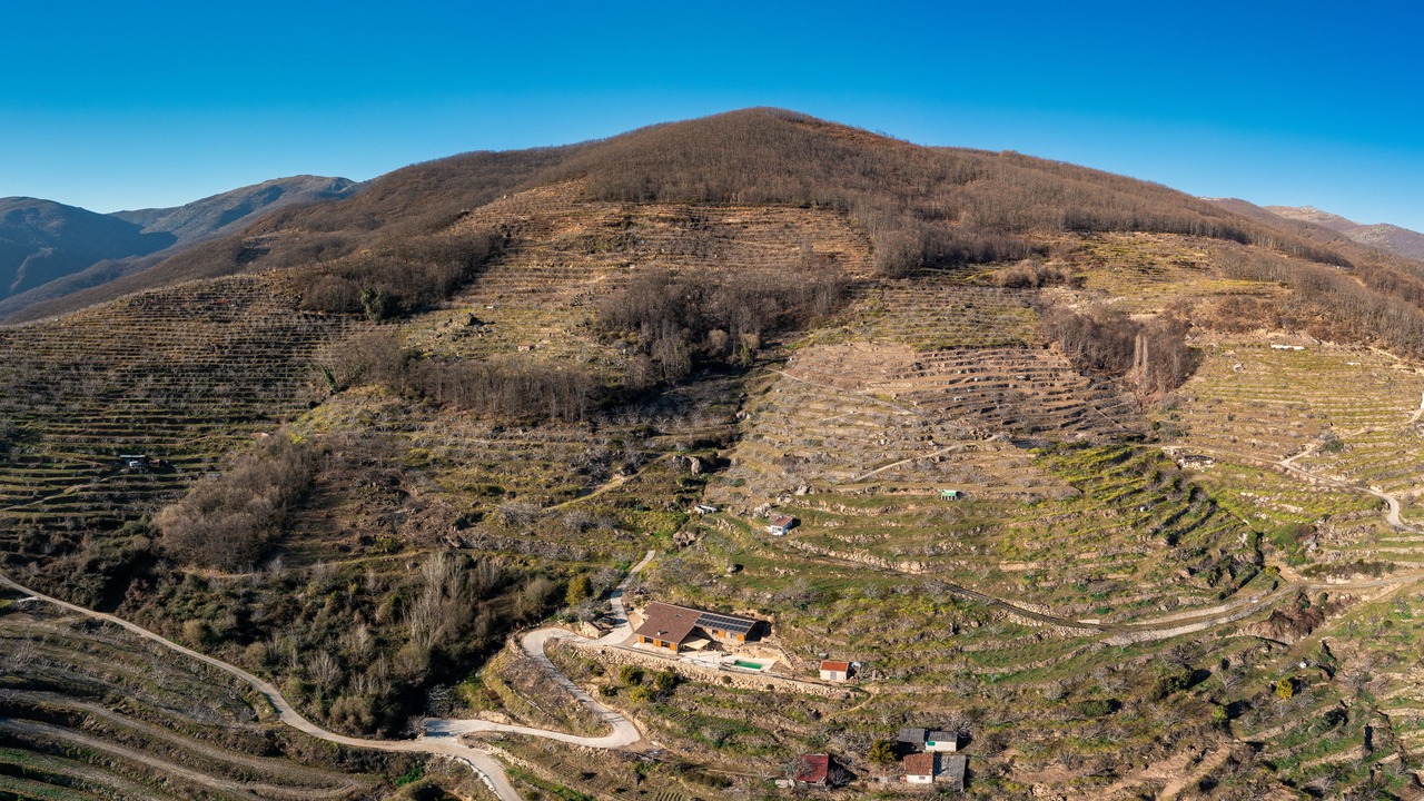 Photo of Outdoor in Jerte