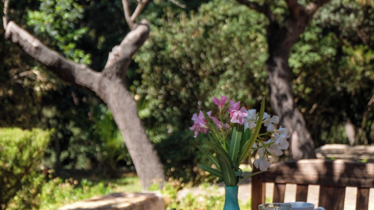 Photo of Outdoor in Bunyola