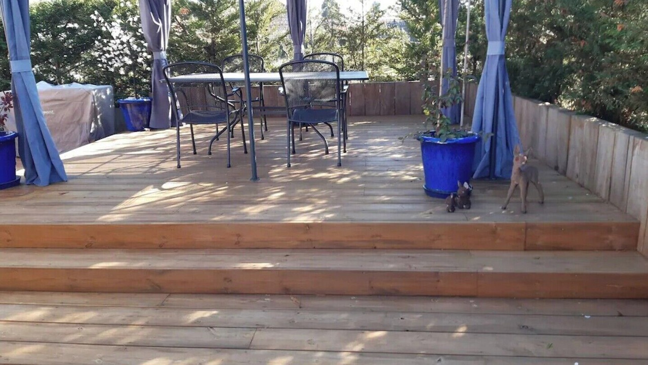 Photo of Outdoor in Excenevex