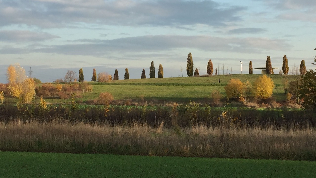 Photo of Others in Weilbach