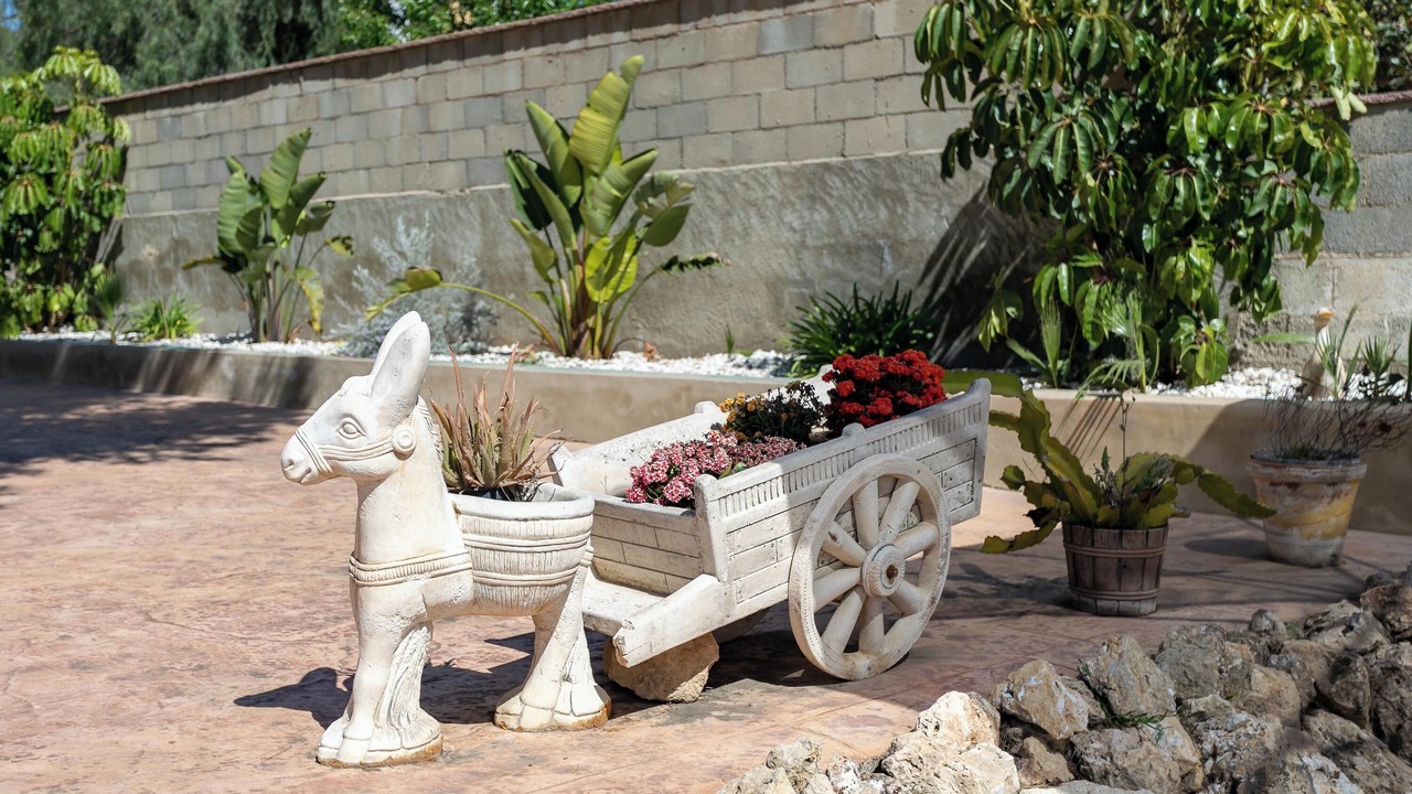 Photo of Outdoor in Hoya de los Patos