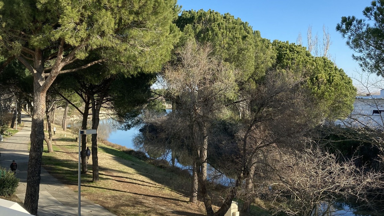 Photo of Outdoor in La Grande-Motte