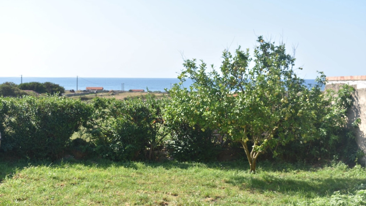 Photo of Outdoor in Monte