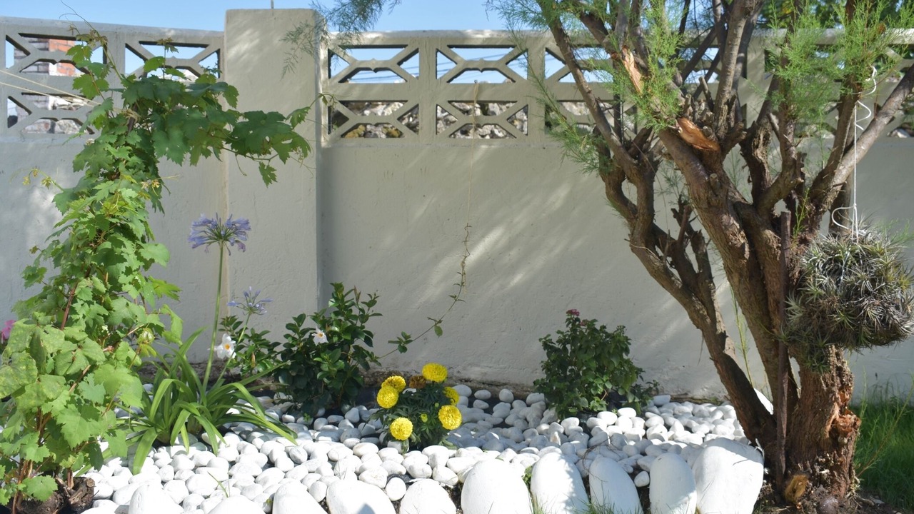 Photo of Outdoor in Monte